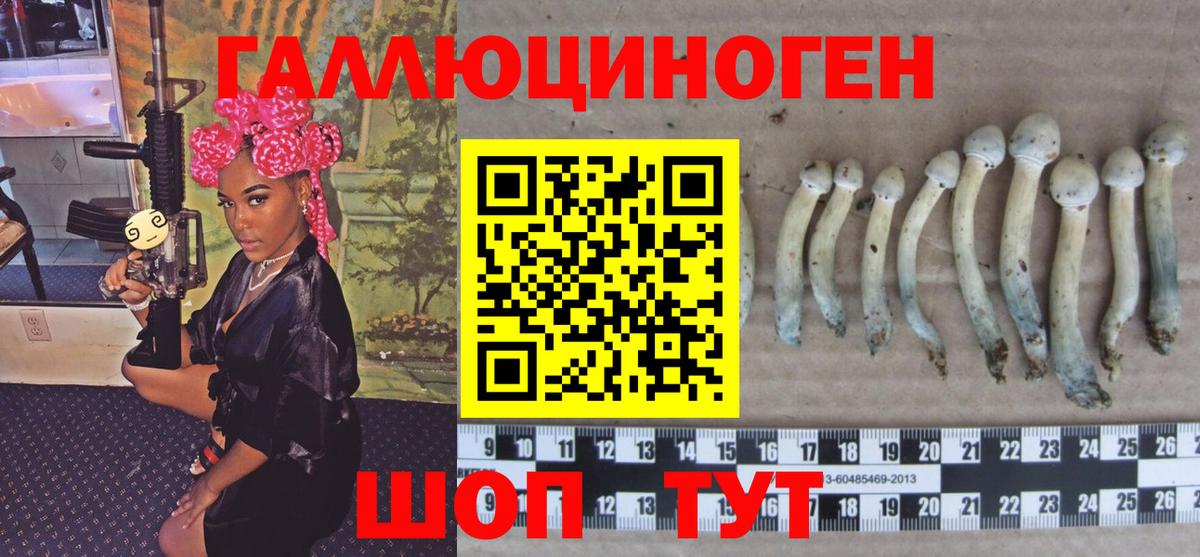 Псилоцибиновые грибы мицелий  Вход с VPN  Полысаево 