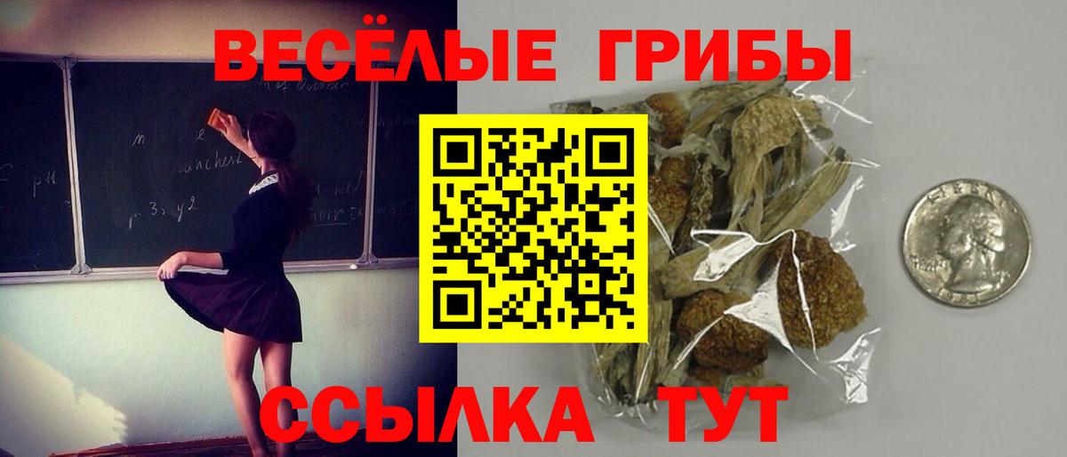 Псилоцибиновые грибы Magic Shrooms Полысаево